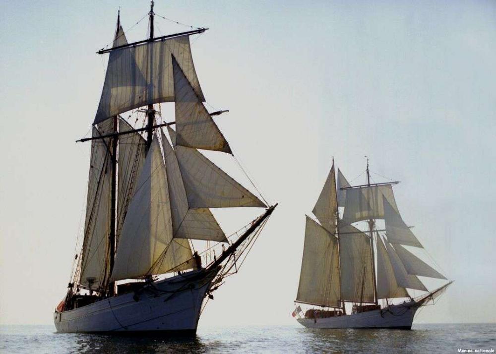 Etoile et Belle Poule