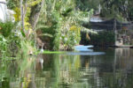 Mexico Xochimilco