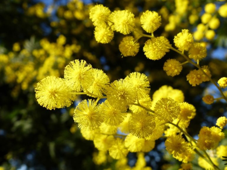 Lire la suite à propos de l’article 2019 février