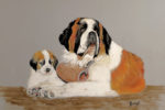 pastel St bernard et son petit