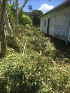 nc typhon niran karikate 1 (xga)