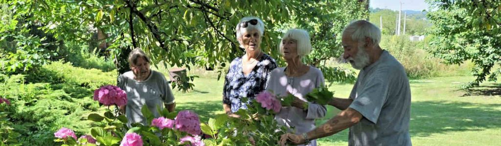 moulin du temple (7)