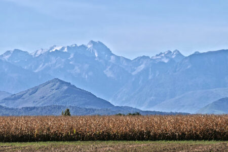 pyrenees (159).jpg