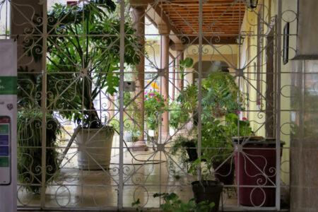 mx patzcuaro 1069 (2) (1024)