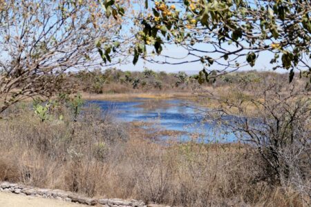 mx sma canada de la virgen 1438 (1024x683)