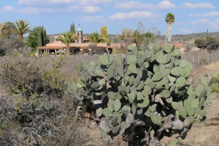 mx sma finca luna serena 258