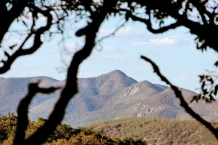 mx sma sierra de santa rosa de lima 338~2