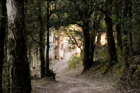 mx sma sierra de santa rosa de lima 511~2