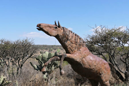 mx sma charco del ingenio 1709.jpg