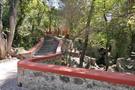 mx sma fleurs candelaria 1358