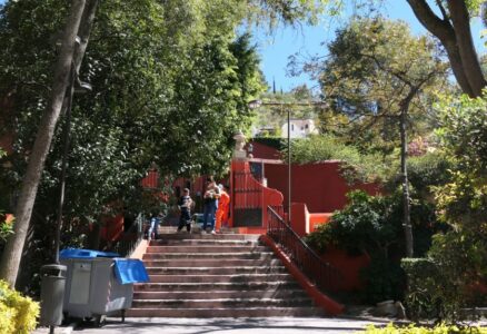 mx sma fleurs candelaria 1365