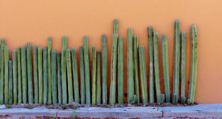 mx sma villa (8).jpg