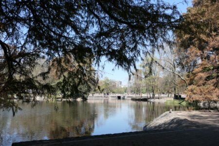 mx dc chapultepec 0471 (1024)