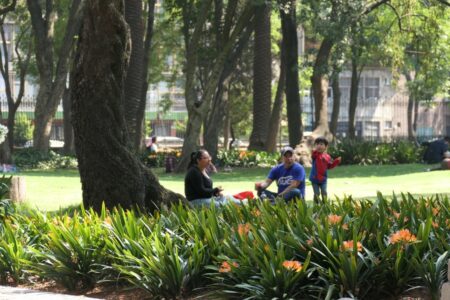 mx dc chapultepec 2451 (1024)