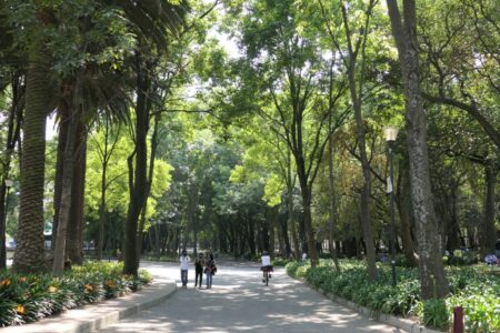 mx dc chapultepec 2456 (1024)