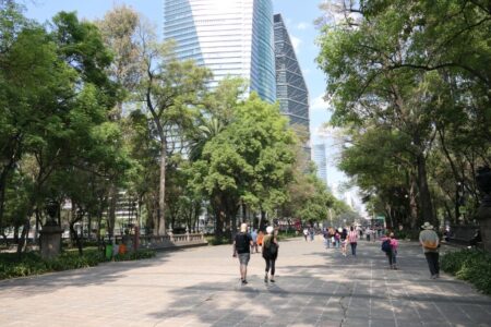 mx dc chapultepec 2463 (1024)