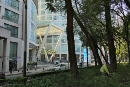 mx dc av reforma 0371 (1024)