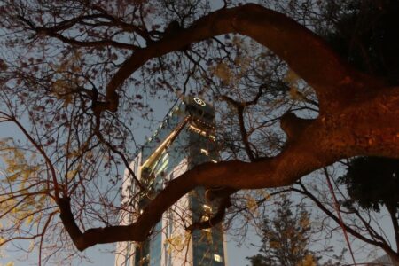 mx dc av reforma 2596 (1024)