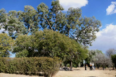 mx sma finca luna serena 304.jpg