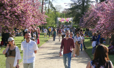 sceaux paques cerisiers 2022 794 (1)