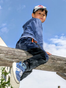 bois d'arcy 990~4.jpg