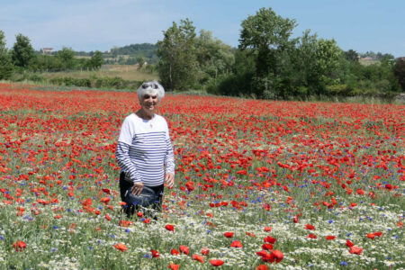 coquelicots (1).jpg