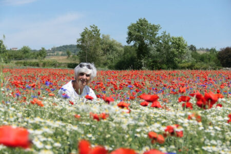 coquelicots (2).jpg