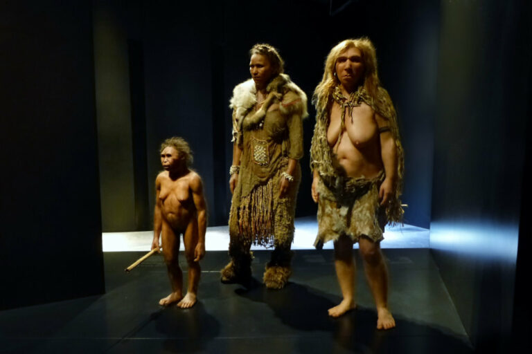 hou mornant(189) homo denisova sapiens neantertal musee confluences
