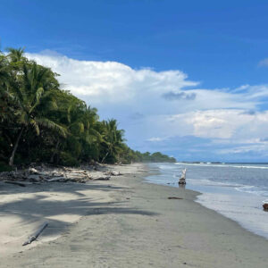 baptiste costa rica 5