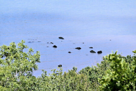 rochers des vaches noires (7).jpg