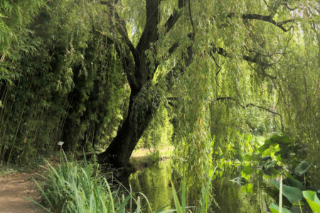 jardins aqua 0872 detail