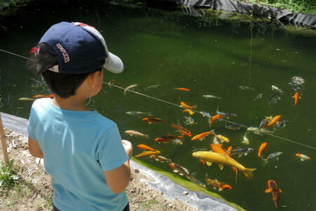 jardins aqua 0891 detail.jpg