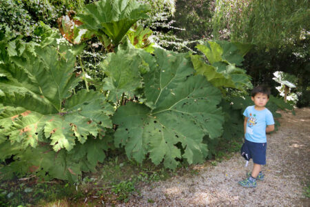 jardins aqua 1019.jpg