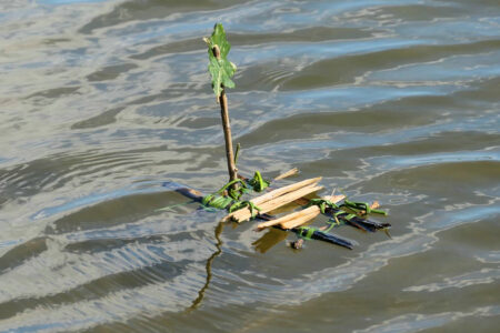 mornant lac de la madone (22)