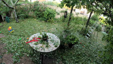 patio mornant 18 aout 2022 (7 11) detail