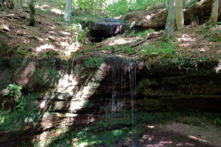 romain wasserfelsen (vosges du nord) (1)