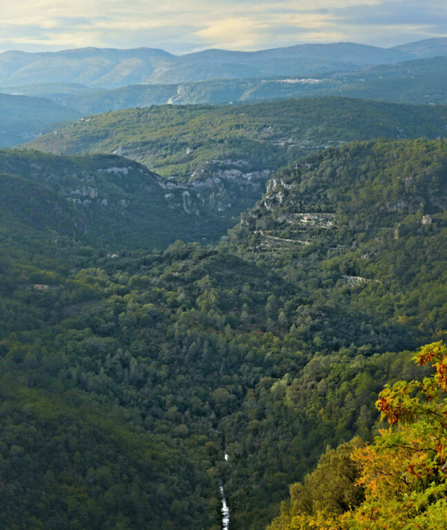 gorges de la siagne (28 29)
