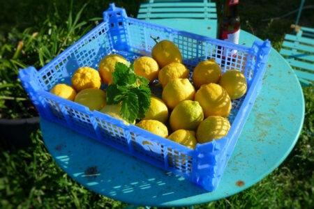 2023 paques marjoris (20)