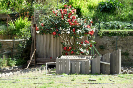 theoule sur mer (2).jpg