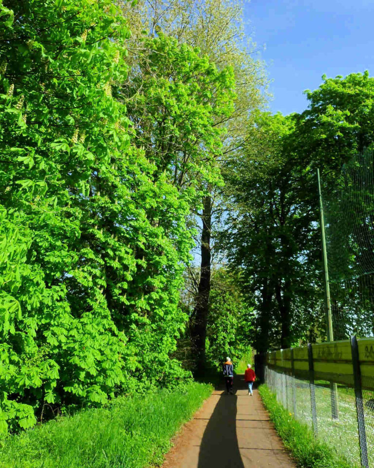 blies et musee du moulin (7)