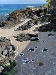 2023 canaries img 4890