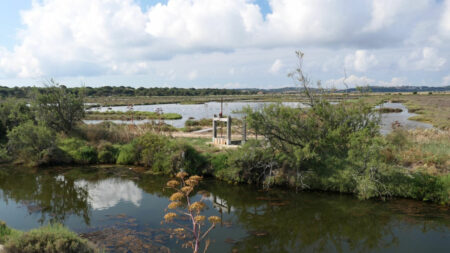 2023 flamants 892 (16x9)