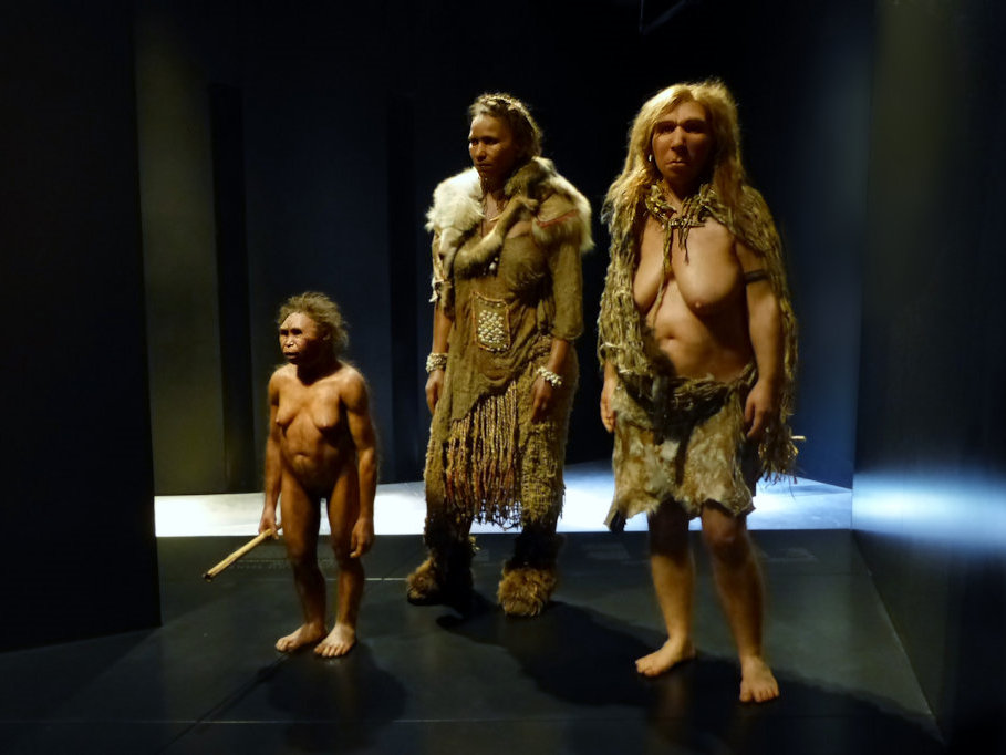 flores sapiens neanderthal (musee confluences lyon © rk)