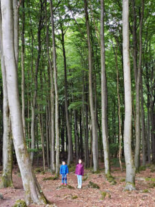 foret de kirburg alexis estelle 2023