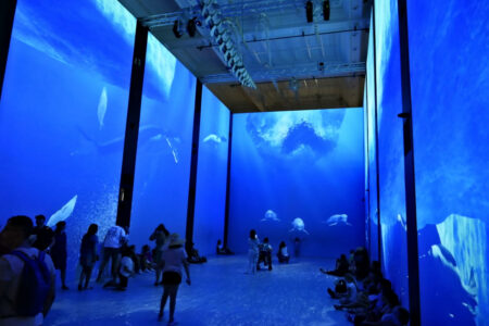 monaco musee oceanographique (129).jpg