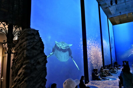 monaco musee oceanographique (135).jpg