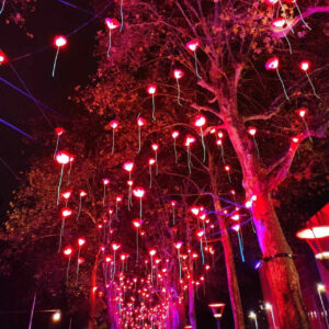 2023 8 dec par justine 7108 n