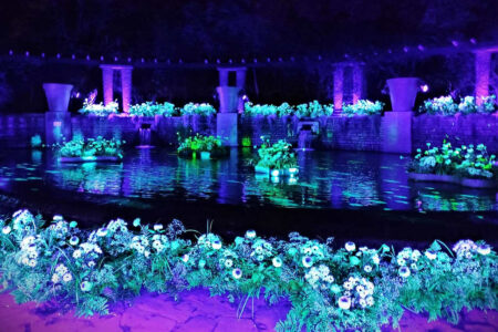 2023 8 dec par solene parc tete d'or