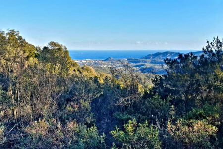 cannes (vu de la baisse du four tanneron par cout)