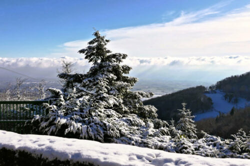 2024 st andree la cote (11)